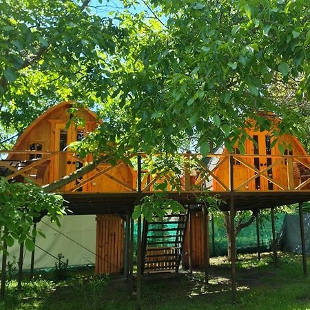 Cabanas Penaflor Glamping Exterior foto